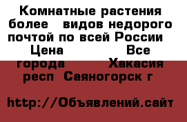 Комнатные растения более200видов недорого почтой по всей России › Цена ­ 100-500 - Все города  »    . Хакасия респ.,Саяногорск г.